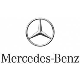 Truck refrigerators Mercedes, SERVICE AND REPARATION, spare parts